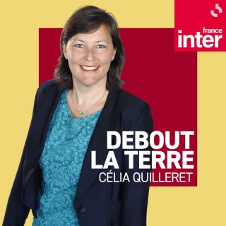 La COP30 sauvera-t-elle la forêt ?